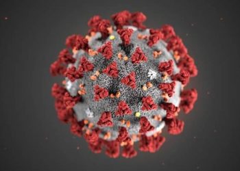Contagio da Coronavirus. Informazioni su come prevenirlo
