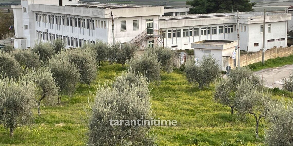 A Montemesola arriva l’Istituto superiore Agrario