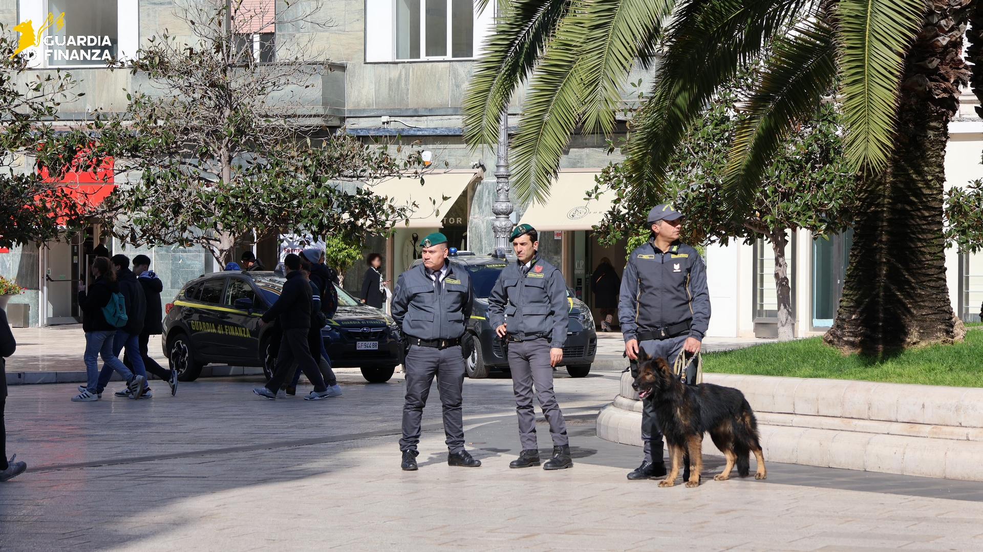 droga la guardia di finanza segnala 31 persone