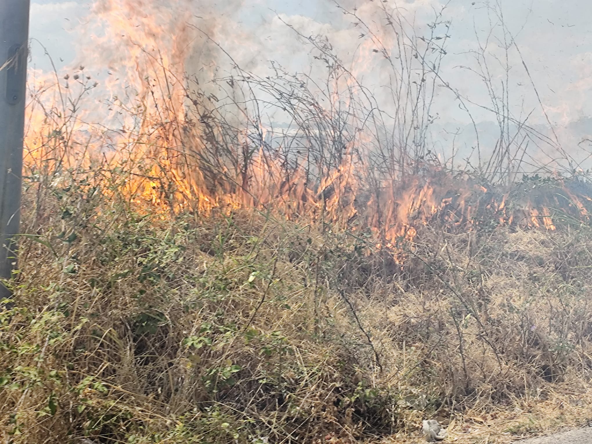 montemesola vasto incendio sulla zona industriale foto
