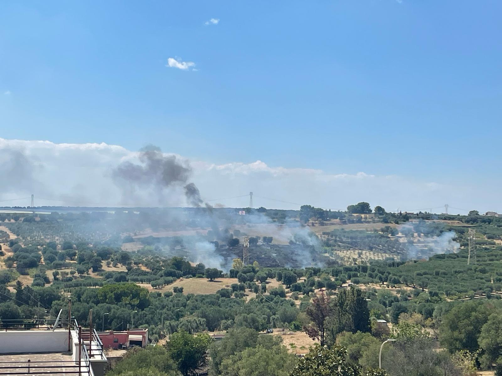 Ancora fiamme a Montemesola. Si fa strada l’ipotesi del dolo