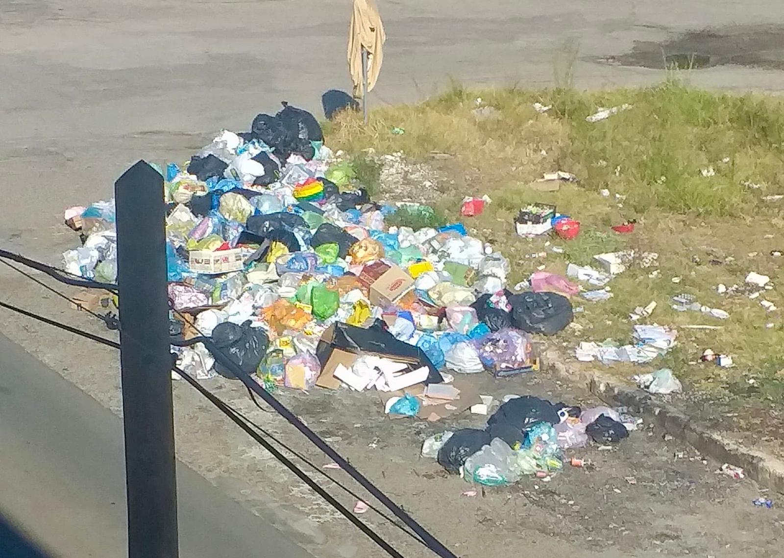Rifiuti in strada a Paolo VI, i residenti esasperati: “Invasi da puzza e insetti” Rifiuti in strada a Paolo VI, i residenti esasperati: “Invasi da puzza e insetti”