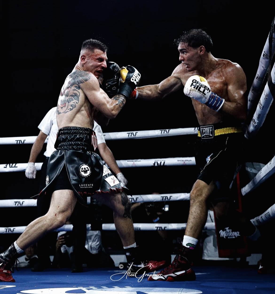 l8217autunno caldo della boxe con la quero chiloiro