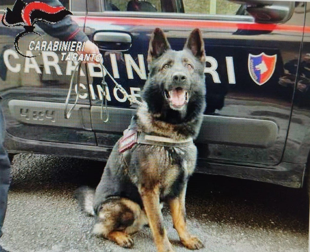 Controlli dei carabinieri, droga e coltello sequestrati Controlli dei carabinieri, droga e coltello sequestrati