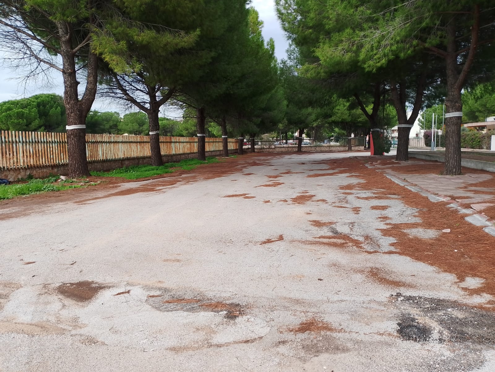 Partiti i lavori di rigenerazione dell’impianto sportivo “Campus Savarra” a Grottaglie