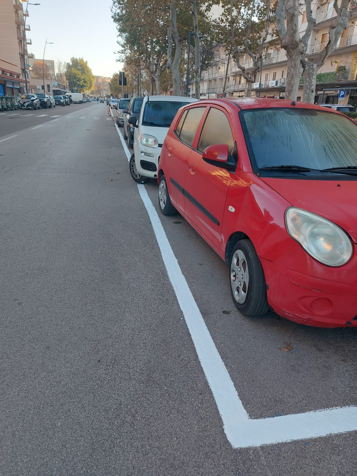 Parcheggi, tornano le strisce bianche in Viale Magna Grecia